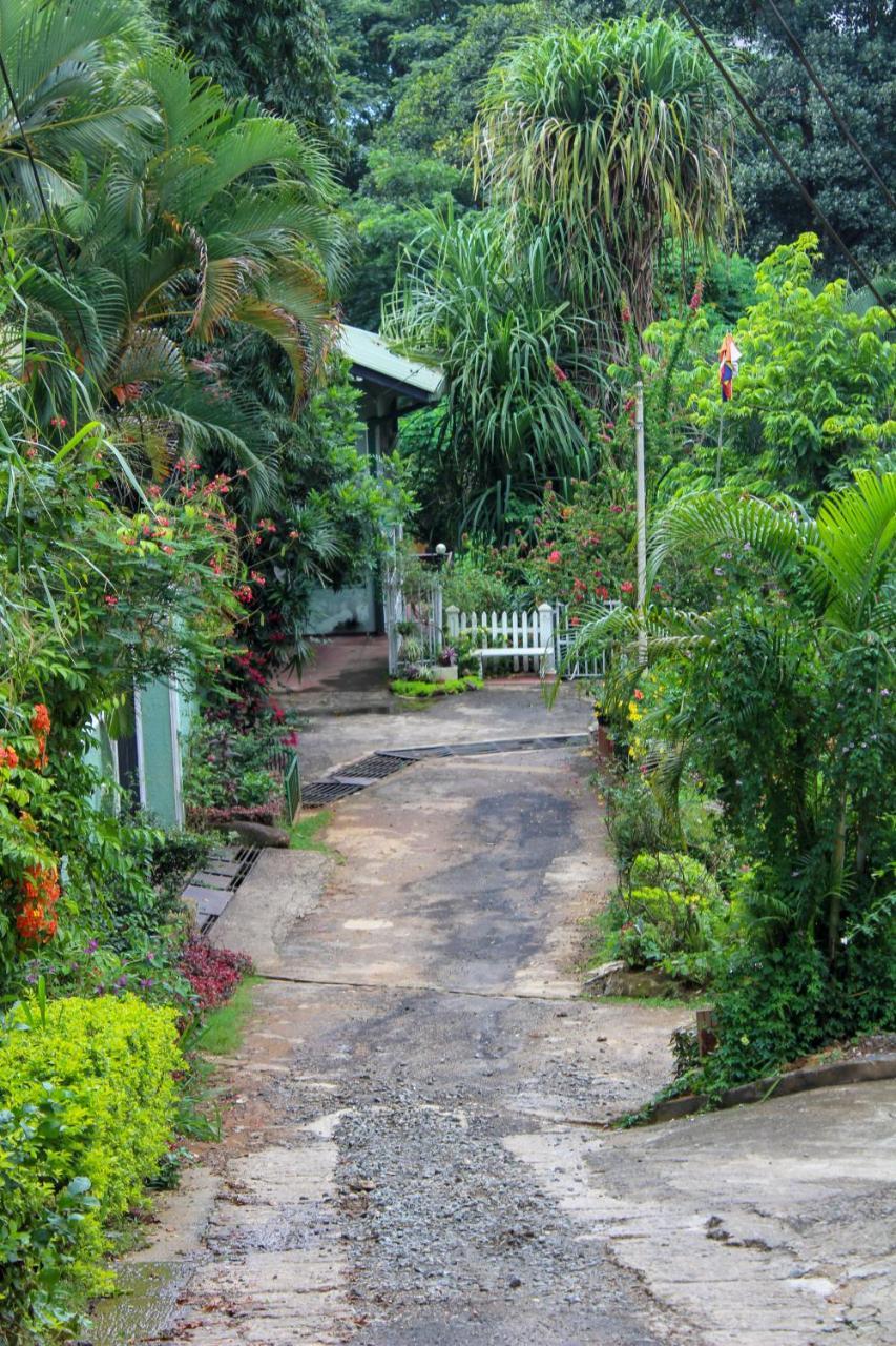 New Nethmi Villa Kandy Exteriér fotografie